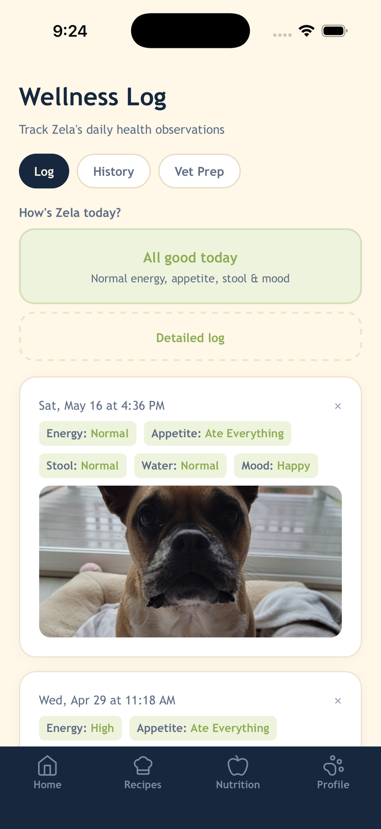 WellWhisker log for everyday observations like appetite, energy, and mood