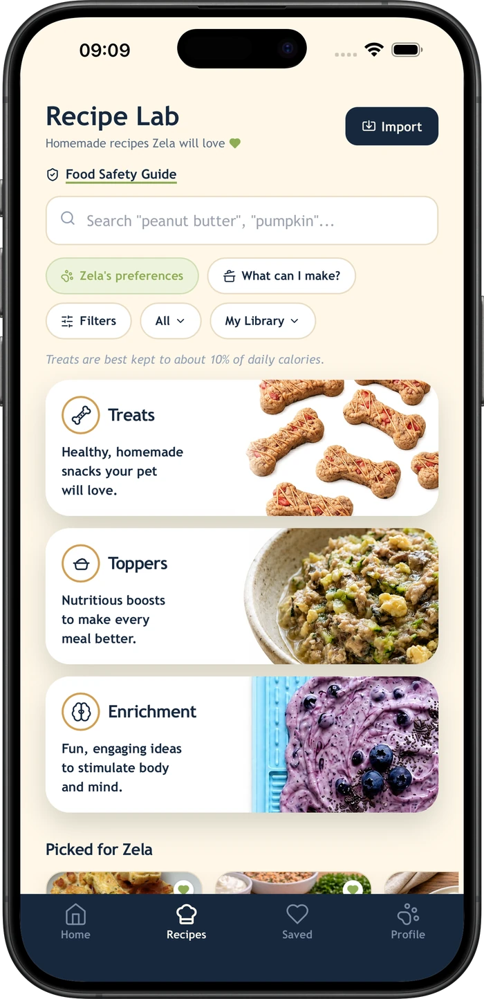 WellWhisker Recipe Lab showing homemade recipes for dogs