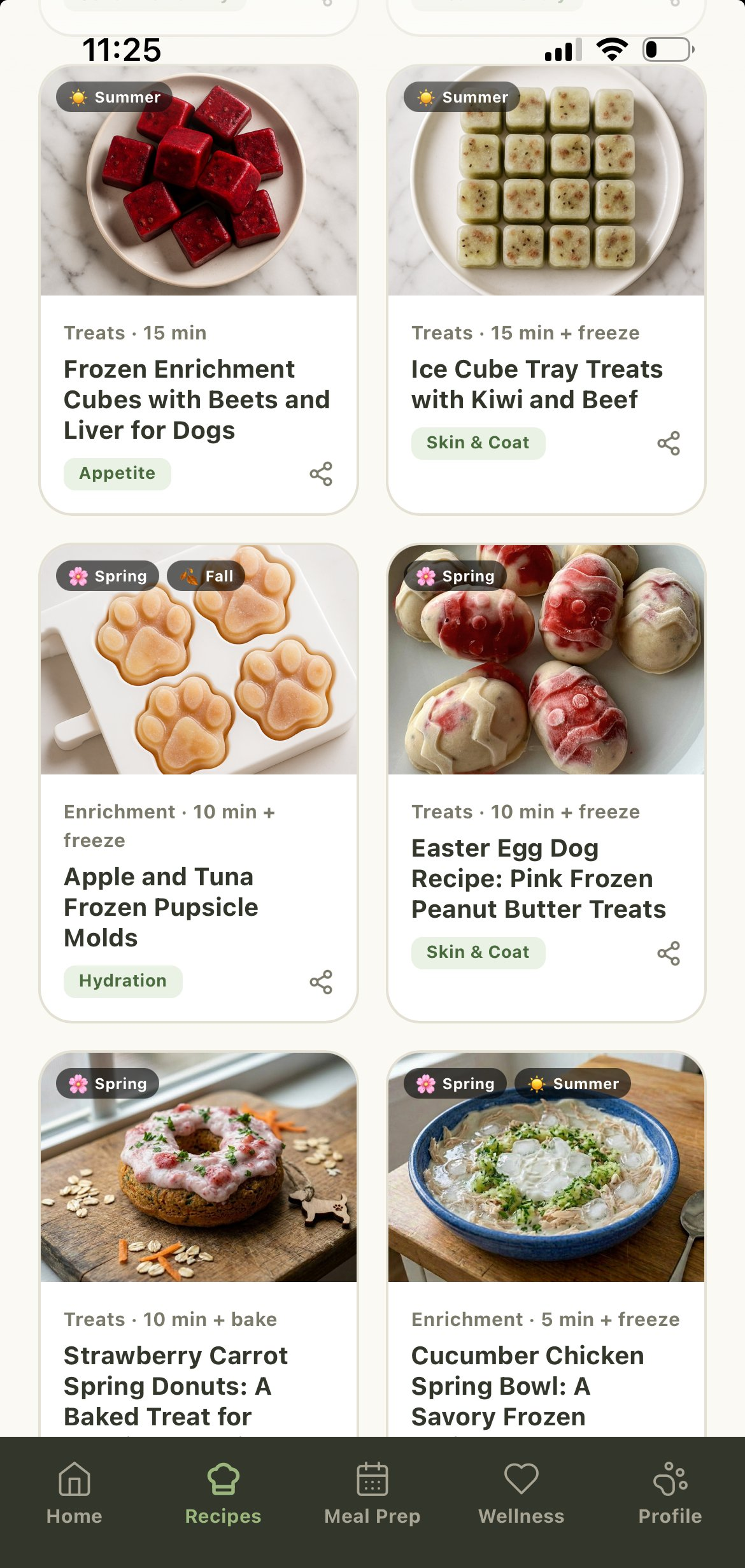 WellWhisker Recipe Lab showing enrichment recipes for dogs